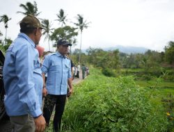 Bupati Solok Hadiri Langsung Demonstrasi Pemakaian Obat Pembasmi Hama Tikus di Nagari Talang