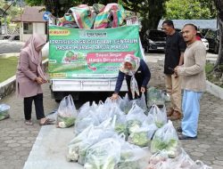 Ludes Terjual Dalam Hitungan Jam, Pemprov Sumbar Buka Jalan Pemasaran Baru Bagi Petani Muda