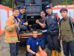 Petugas Damkar Pasaman Bantu Evakuasi Dramatis Anak Beruang Madu Terjerat di Perkebunan Salak