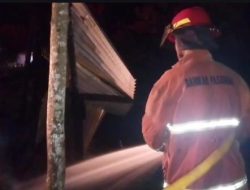 Petugas Damkar Lubuk Sikaping Tunjukkan Kerja Keras Padamkan Kebakaran Rumah Welyendra