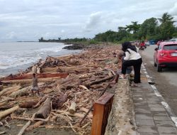 Pembalakan Liar Salah Satu Penyebab Bencana Banjir di Sumbar
