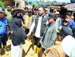 Walikota Fadly Amran Dampingi Wamendagri Tinjau Lokasi Kawasan Banjir Komplek Griya Tabing Banda Gadang