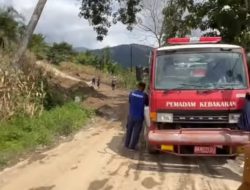 Damkar Pasaman Gerak Cepat Bersihkan Sisa Longsor di Ruas Jalan Utama Languang