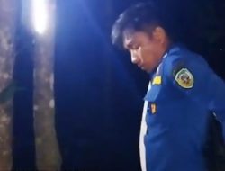 Evakuasi Sarang Tawon Raksasa di Pasaman Berlangsung Menegangkan, Damkar Tuai Apresiasi