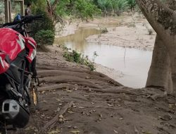 Warga Aia Gadang Barat Pasaman Barat Berjuang Pulihkan Lahan Pertanian Pasca Banjir Bandang