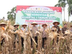 Dukung Program Swasembada 2026, Polres Pasaman Barat Bersama Forkopimda Gelar Panen Jagung Serentak