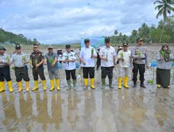 Pemerintah Mulai Melakukan Rehabilitasi Lahan Pertanian Terdampak Bencana di Sumbar