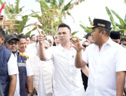 Kolaborasi Multipihak Perkuat Pemulihan Warga Terdampak Bencana di Sumbar