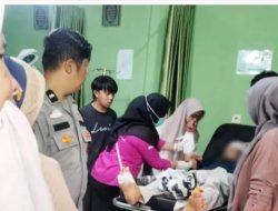 Beruang Mengamuk, Tiga Warga Sinurut Pasaman Barat Diserang