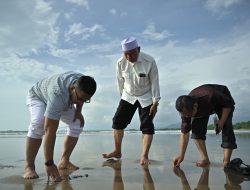 Daratan Baru di Pantai Parkit, Gubernur Mahyeldi: Perlu Kajian Lebih Lanjut
