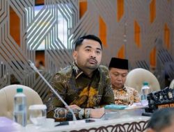 Zigo Rolanda Usulkan Dermaga Baru di Mentawai, Mobilitas Warga Bakal Lebih Cepat