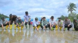 Pemprov Sumbar Siapkan Sejumlah langkah Strategis untuk Percepat Proses Rehabilitasi Sawah Terdampak Bencana