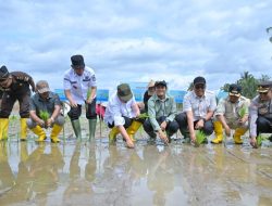 Pemprov Sumbar Siapkan Sejumlah langkah Strategis untuk Percepat Proses Rehabilitasi Sawah Terdampak Bencana