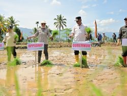 Pemerintah Percepat Pemulihan Lahan Terdampak Bencana dan Antisipasi Kekeringan Melalui Gerakan Tanam Serempak 50 Ribu Hektare