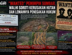 WALHI Ungkap Fakta Deforestasi di Sumbar, Hulu DAS Rusak dan Hutan Lindung Beralih Fungsi