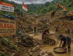 Tambang Ilegal Menggila, Sumbar Rusak dan Korban Terus Berjatuhan