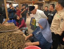 Gubernur Mahyeldi: Investasi Pengolahan Pinang Gerakkan Ekonomi Masyarakat