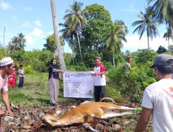 Pemprov Sumbar Pastikan Tebar Qurban di Mentawai Tepat Sasaran