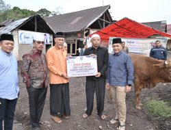 Tebar Qurban Pemprov Sumbar Meningkat Tajam, 140 Sapi dan 33 Kambing Disalurkan ke Berbagai Daerah