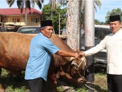 Polres Pasaman Barat Berbagi di Hari Raya Idul Adha, dengan Pemotongan Hewan Qurban
