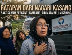 Ratapan dari Nagari Kasang: Saat Sawah Berganti Tambang dan Air Mata Belum Kering