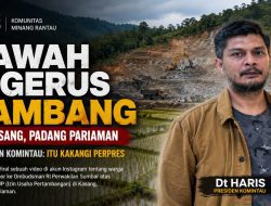 Sawah Digerus Tambang di Kasang, Ini Kata Presiden Komintau: Itu Kakangi Perpres