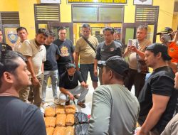 Tim Ditresnarkoba Polda Sumbar dan Polres Pasbar Gagalkan Peredaran Narkotika, 30 Paket Ganja Kering Siap Diamankan