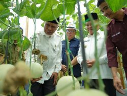 Gubernur Mahyeldi Dorong Pertanian Sumbar Berbasis Smart Farming
