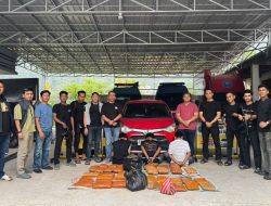 BNNP Sumbar Gagalkan Peredaran 44 Kg Ganja Jaringan Sumut-Sumbar, Tiga Orang Diamankan