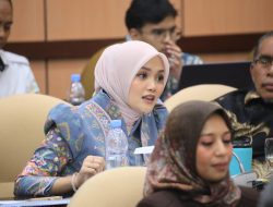 Rapat DPD RI, Cerint Iralloza Tasya Suarakan Anggaran Nakes,Tenaga Didik,dan Lahan RSUD Agam