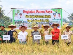 Bupati Welly Suhery Hadiri Panen Raya di Nagari Aia Manggih, Perkuat Ketahanan Pangan Pasaman